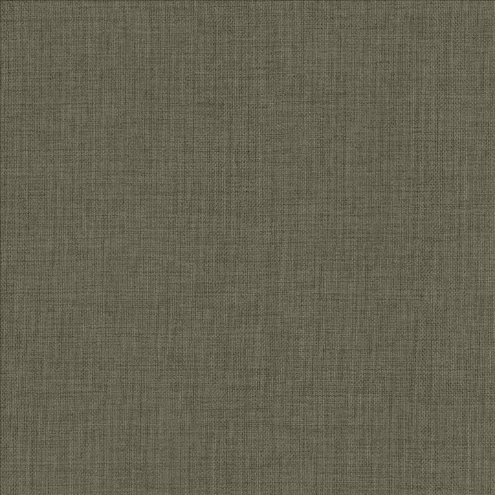 Maura Ash by Kasmir Designer Fabric 5165 100% Polyester
 TURKEY </p><p>Repeat: Horizontal: N/A and Vertical: N/A 57 - Swanky Fabrics -