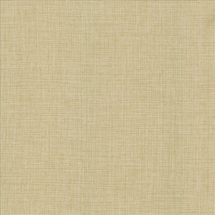 Maura Chamois by Kasmir Designer Fabric 5165 100% Polyester
 TURKEY Not Tested </p><p>Repeat: Horizontal: N/A and Vertical: N/A 57 - Swanky Fabrics -