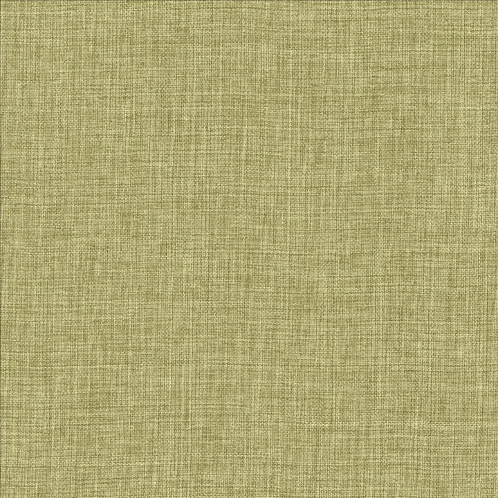 Maura Grass by Kasmir Designer Fabric 5165 100% Polyester
 TURKEY </p><p>Repeat: Horizontal: N/A and Vertical: N/A 57 - Swanky Fabrics -