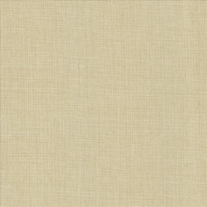 Maura Stone  by Kasmir Designer Fabric 5165 100% Polyester
 TURKEY Not Tested Horizontal: N/A and Vertical: N/A 57  - Swanky Fabrics -