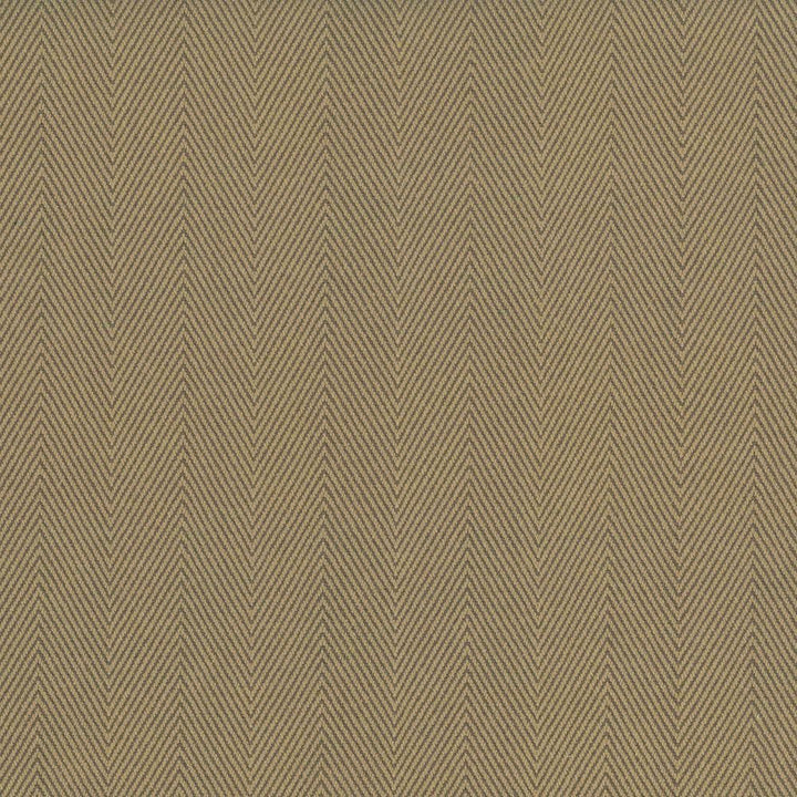 Mcclintock Camel  by Kasmir Designer Fabric 1438 100% Cotton
 INDIA 30,000 Wyzenbeek Double Rubs Horizontal: 1 7/8 inches and Vertical: N/A 54  - Swanky Fabrics -