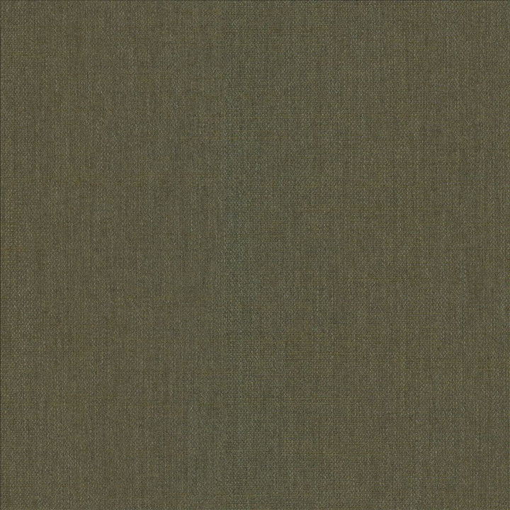 Mcdowell Kashmir  by Kasmir Designer Fabric 5184 100% Polyester  INDIA  </p><p>Repeat: Horizontal: N/A and Vertical: N/A 55  - Swanky Fabrics -
