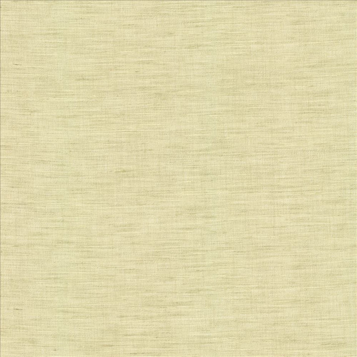 Mercado Celadon by Kasmir Designer Fabric 5181 100% Polyester
 INDIA Not Tested </p><p>Repeat: Horizontal: N/A and Vertical: N/A 54 - Swanky Fabrics -