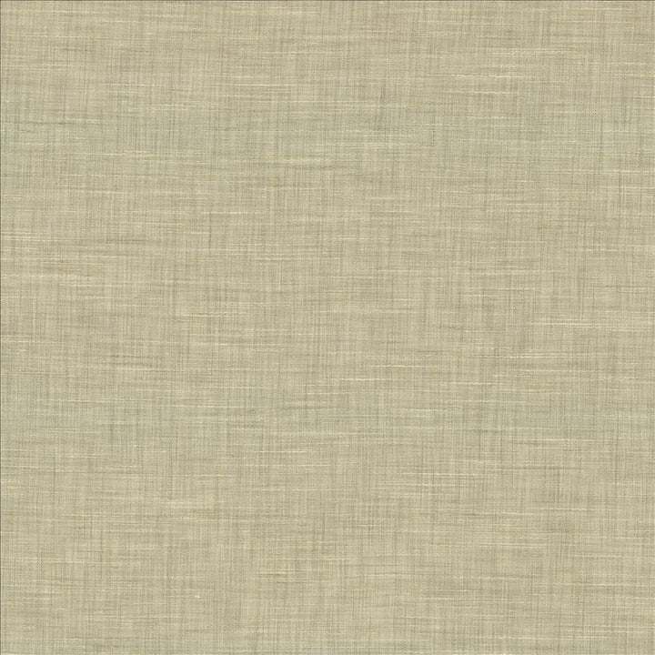 Mercado Platinum by Kasmir Designer Fabric 5181 100% Polyester
 INDIA Not Tested </p><p>Repeat: Horizontal: N/A and Vertical: N/A 54 - Swanky Fabrics -