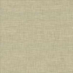 Kasmir Fabric Mercado Platinum