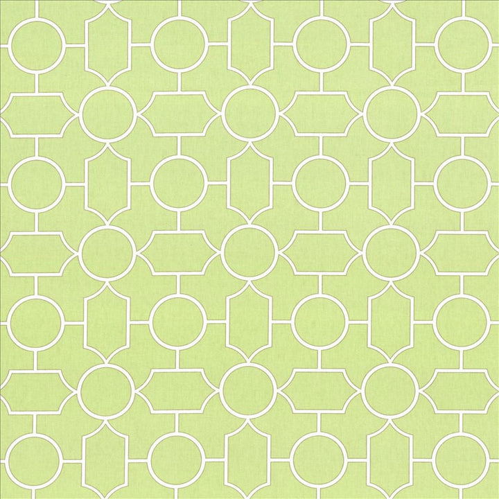 Mezzanine Celadon by Kasmir Designer Fabric 5082 100% Cotton
 TURKMENISTAN 30,000 Wyzenbeek Double Rubs </p><p>Repeat: Horizontal: 9 inches and Vertical: 9 inches 54 - Swanky Fabrics -
