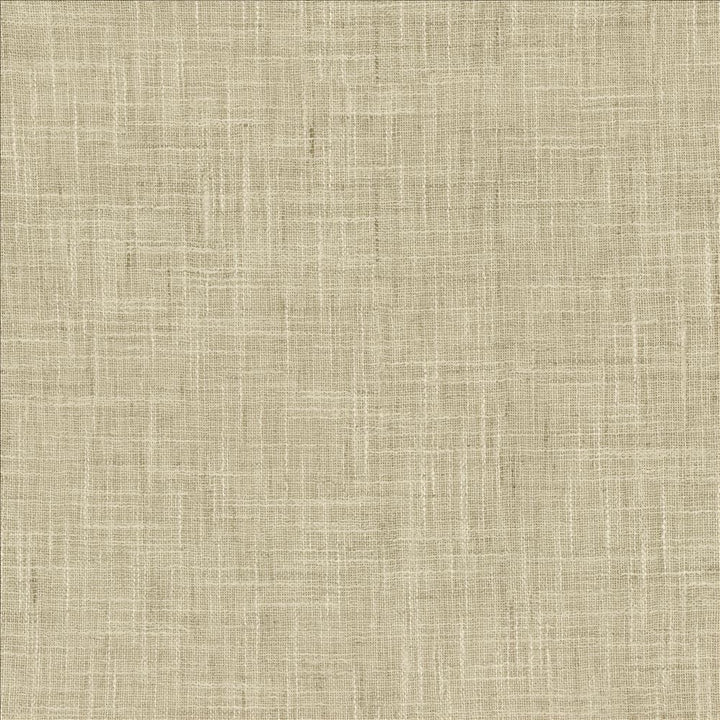 Mina Texture Ash by Kasmir Designer Fabric 5181 100% Polyester
 INDIA Not Tested </p><p>Repeat: Horizontal: N/A and Vertical: N/A 54 - Swanky Fabrics -