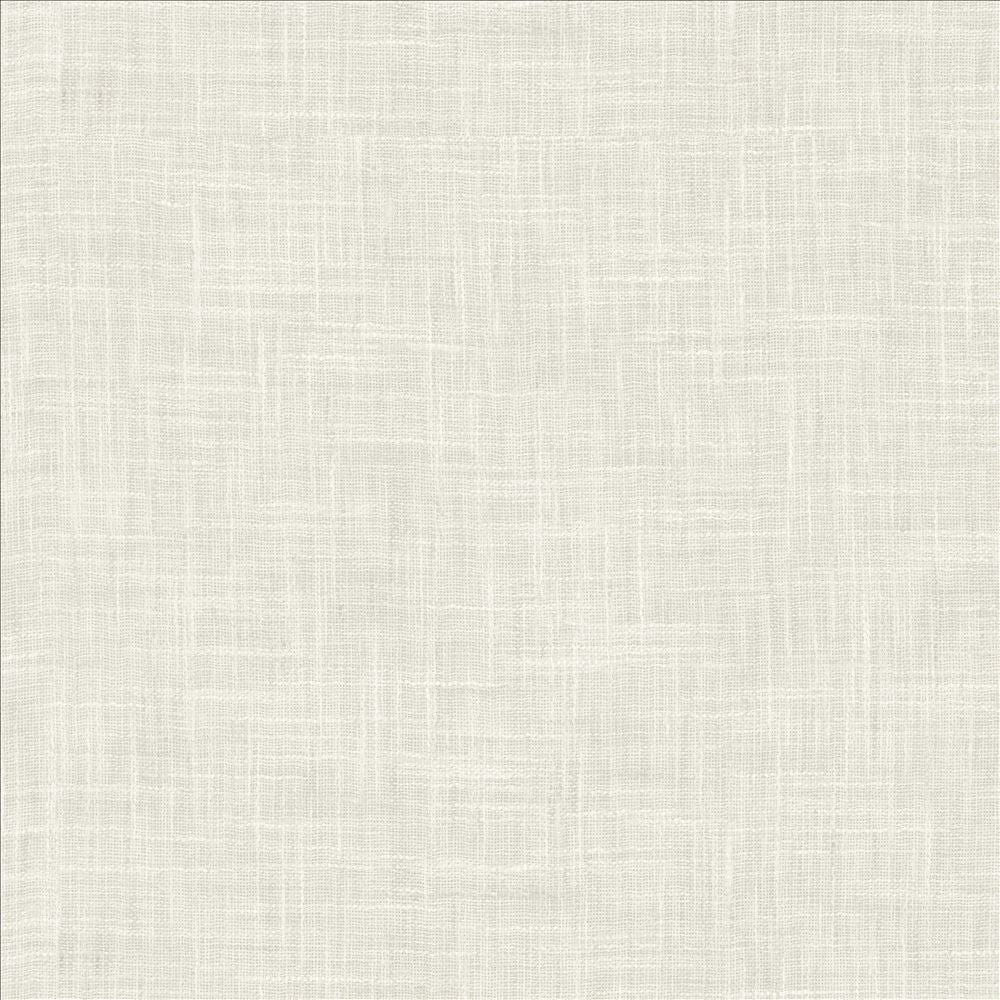 Mina Texture Coconut by Kasmir Designer Fabric 5181 100% Polyester
 INDIA Not Tested </p><p>Repeat: Horizontal: N/A and Vertical: N/A 54 - Swanky Fabrics -