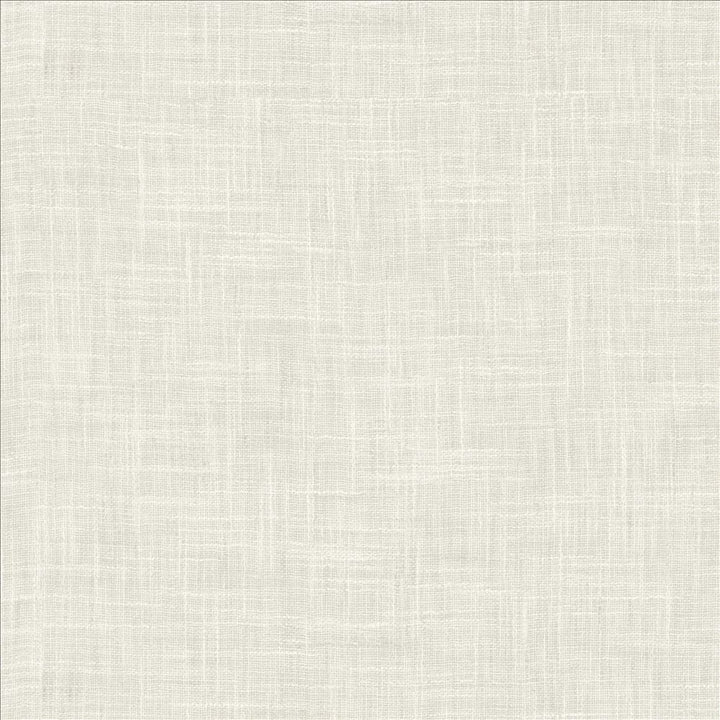 Mina Texture Coconut by Kasmir Designer Fabric 5181 100% Polyester
 INDIA Not Tested </p><p>Repeat: Horizontal: N/A and Vertical: N/A 54 - Swanky Fabrics -