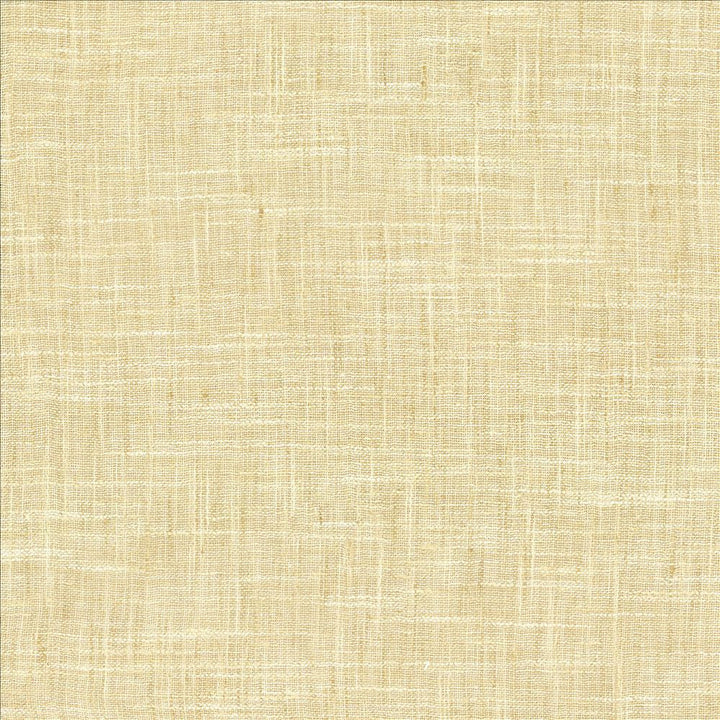 Mina Texture Oatmeal by Kasmir Designer Fabric 5181 100% Polyester
 INDIA Not Tested </p><p>Repeat: Horizontal: N/A and Vertical: N/A 54 - Swanky Fabrics -