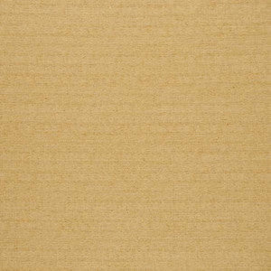 Mitchell Fabric Director Chamois