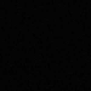 Mitchell Fabric Daffy Black