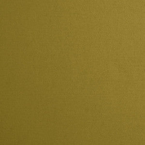Mitchell Fabric Daffy Grass