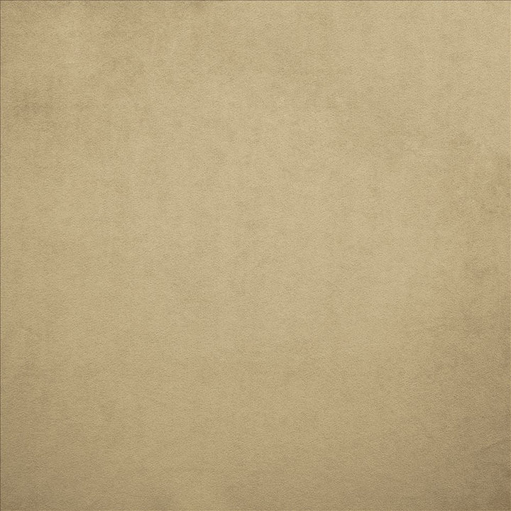 Nampara Beige  by Kasmir Designer Fabric 5167 100% Polyester
 CHINA 105,000 Wyzenbeek Double Rubs Horizontal: N/A and Vertical: N/A 58  - Swanky Fabrics -