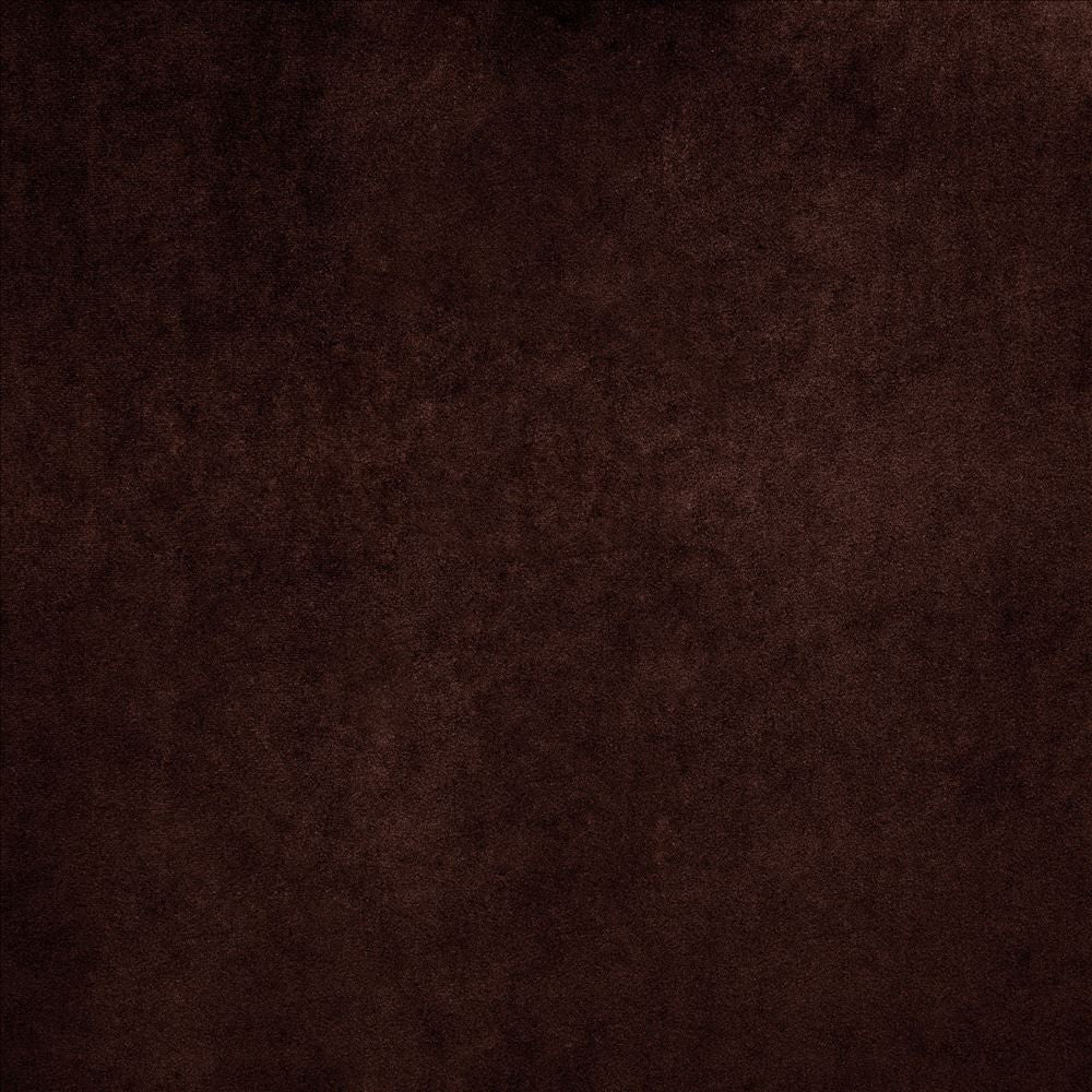 Nampara Brown by Kasmir Designer Fabric 5167 100% Polyester
 CHINA 105,000 Wyzenbeek Double Rubs </p><p>Repeat: Horizontal: N/A and Vertical: N/A 58 - Swanky Fabrics -