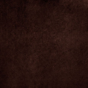 Kasmir Fabric Nampara Brown