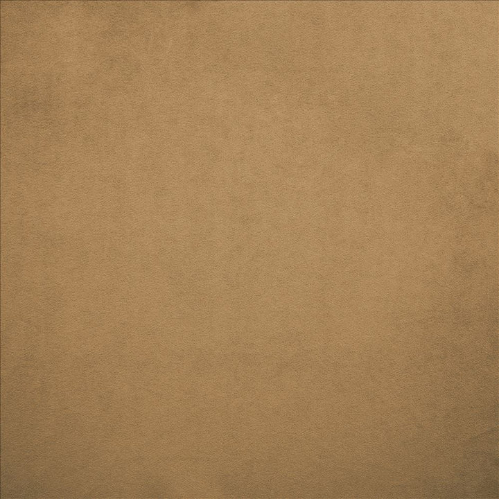 Nampara Cappuccino by Kasmir Designer Fabric 5167 100% Polyester
 CHINA </p><p>Repeat: Horizontal: N/A and Vertical: N/A 58 - Swanky Fabrics -