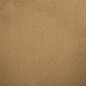Kasmir Fabric Nampara Cappuccino