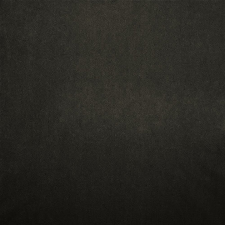 Nampara Charcoal by Kasmir Designer Fabric 5167 100% Polyester
 CHINA </p><p>Repeat: Horizontal: N/A and Vertical: N/A 58 - Swanky Fabrics -