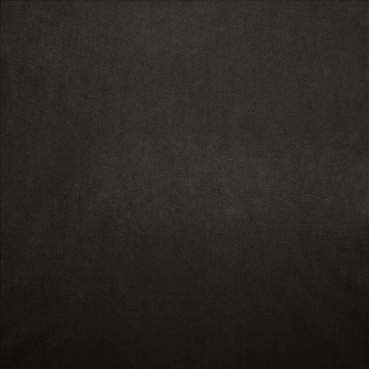 Nampara Charcoal by Kasmir Designer Fabric 5167 100% Polyester
 CHINA 105,000 Wyzenbeek Double Rubs </p><p>Repeat: Horizontal: N/A and Vertical: N/A 58 - Swanky Fabrics -