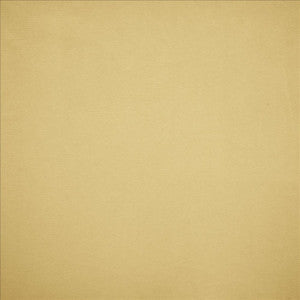 Kasmir Fabric Nampara Cream