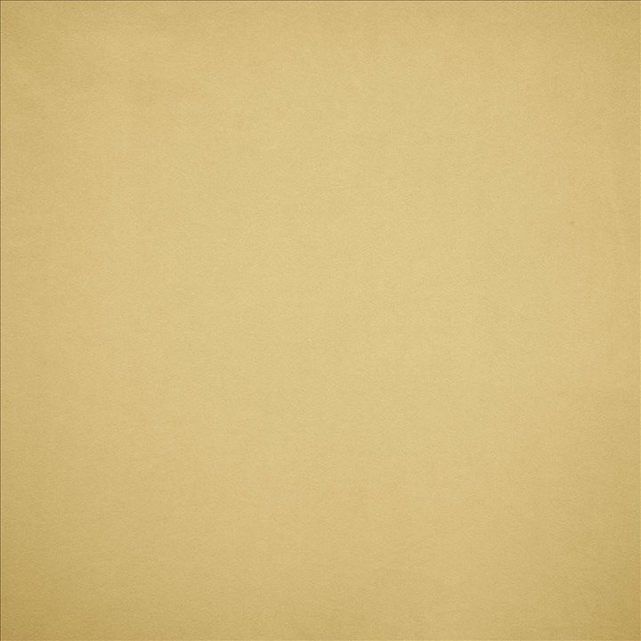 Nampara Cream by Kasmir Designer Fabric 5167 100% Polyester
 CHINA 105,000 Wyzenbeek Double Rubs </p><p>Repeat: Horizontal: N/A and Vertical: N/A 58 - Swanky Fabrics -