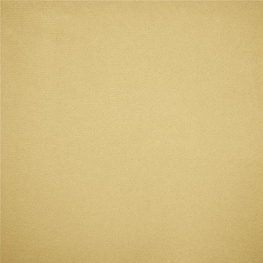 Nampara Cream by Kasmir Designer Fabric 5167 100% Polyester
 CHINA </p><p>Repeat: Horizontal: N/A and Vertical: N/A 58 - Swanky Fabrics -