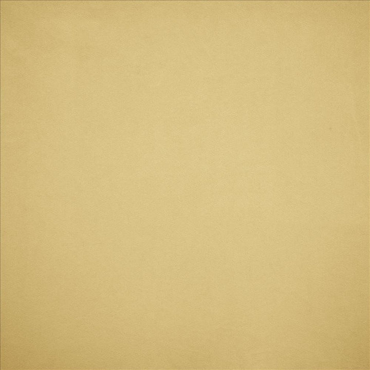 Nampara Cream by Kasmir Designer Fabric 5167 100% Polyester
 CHINA </p><p>Repeat: Horizontal: N/A and Vertical: N/A 58 - Swanky Fabrics -