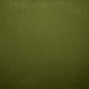 Kasmir Fabric Nampara Fern