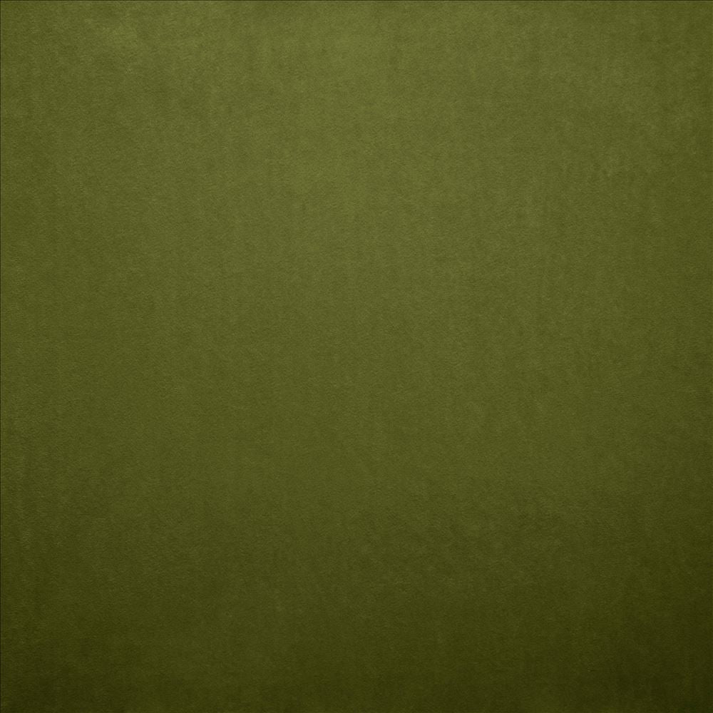 Nampara Fern by Kasmir Designer Fabric 5167 100% Polyester
 CHINA 105,000 Wyzenbeek Double Rubs </p><p>Repeat: Horizontal: N/A and Vertical: N/A 58 - Swanky Fabrics -