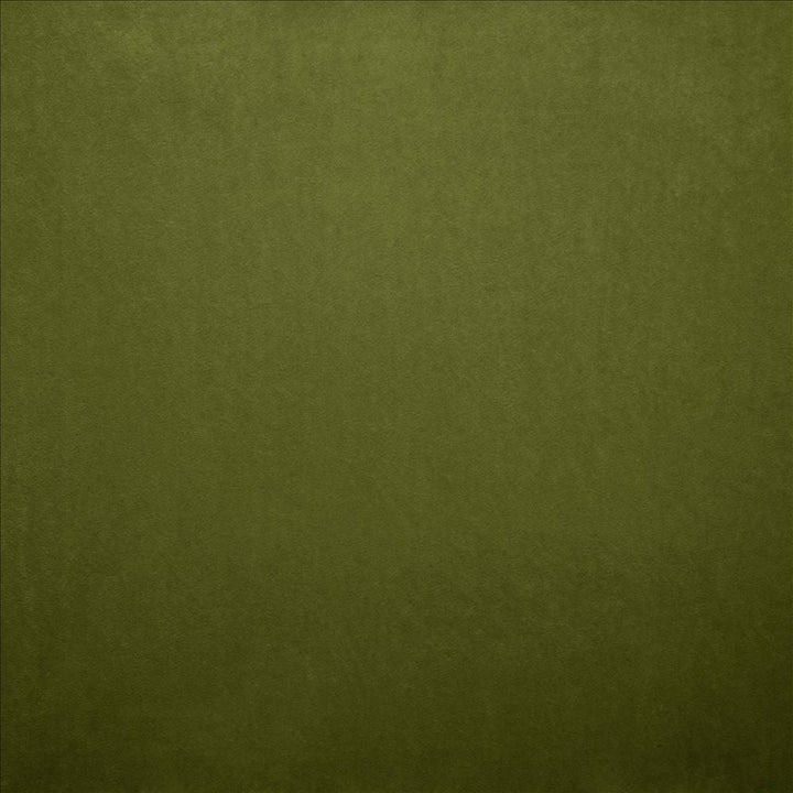 Nampara Fern by Kasmir Designer Fabric 5167 100% Polyester
 CHINA 105,000 Wyzenbeek Double Rubs </p><p>Repeat: Horizontal: N/A and Vertical: N/A 58 - Swanky Fabrics -