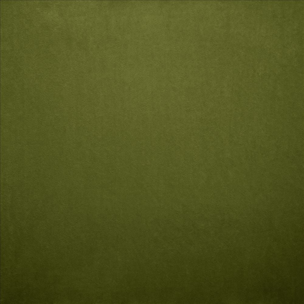 Nampara Fern by Kasmir Designer Fabric See sample 100% Polyester
 CHINA 105,000 Wyzenbeek Double Rubs </p><p>Repeat: Horizontal: N/A and Vertical: N/A 58 - Swanky Fabrics -