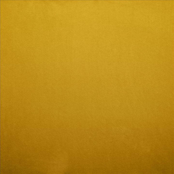 Nampara Gold by Kasmir Designer Fabric 5167 100% Polyester
 CHINA 105,000 Wyzenbeek Double Rubs </p><p>Repeat: Horizontal: N/A and Vertical: N/A 58 - Swanky Fabrics -