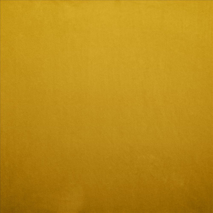 Nampara Gold by Kasmir Designer Fabric 5167 100% Polyester
 CHINA </p><p>Repeat: Horizontal: N/A and Vertical: N/A 58 - Swanky Fabrics -