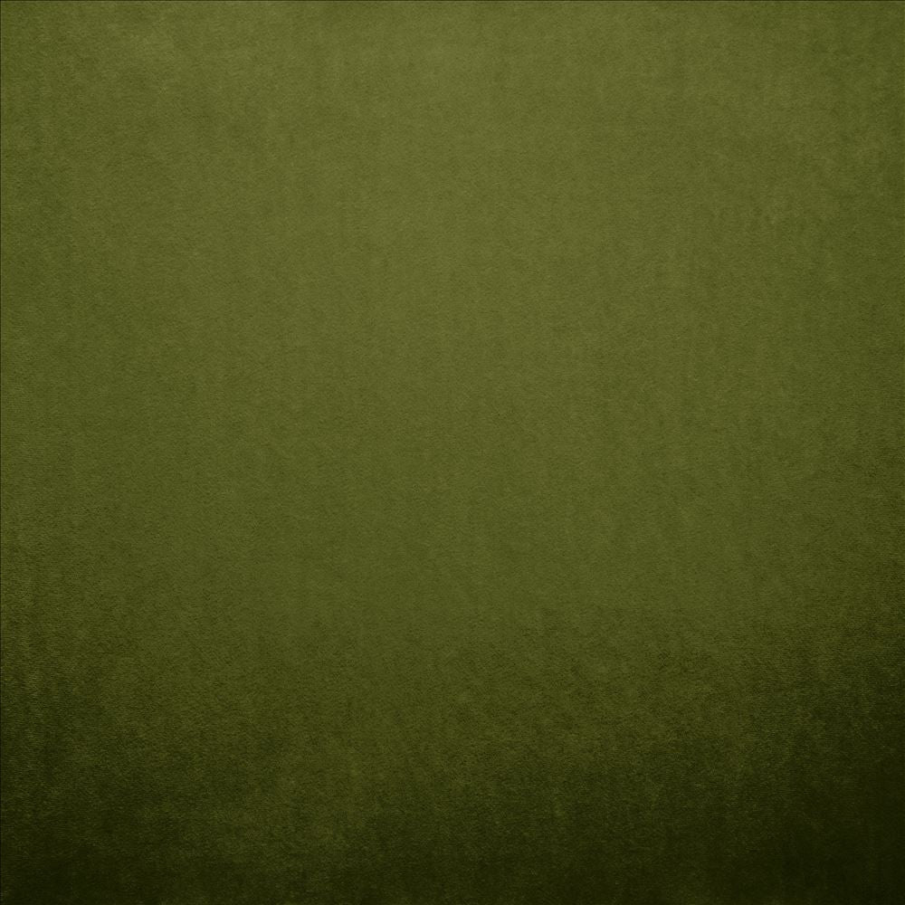 Nampara Green  by Kasmir Designer Fabric 5167 100% Polyester
 CHINA 105,000 Wyzenbeek Double Rubs Horizontal: N/A and Vertical: N/A 58  - Swanky Fabrics -