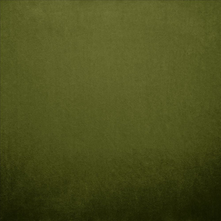 Nampara Green by Kasmir Designer Fabric 5167 100% Polyester
 CHINA </p><p>Repeat: Horizontal: N/A and Vertical: N/A 58 - Swanky Fabrics -