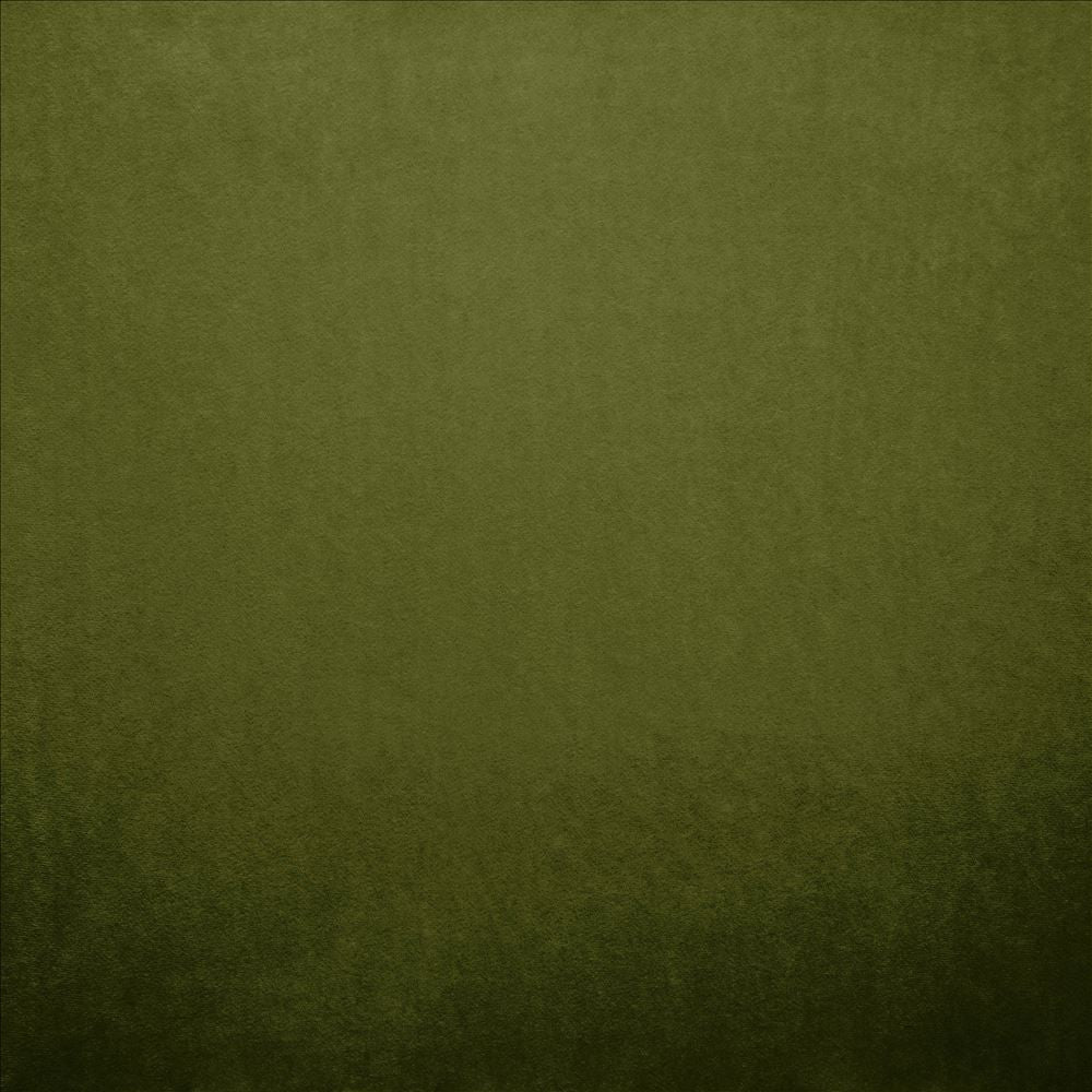Nampara Green by Kasmir Designer Fabric 5167 100% Polyester
 CHINA 105,000 Wyzenbeek Double Rubs </p><p>Repeat: Horizontal: N/A and Vertical: N/A 58 - Swanky Fabrics -