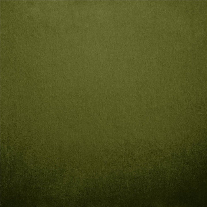 Nampara Green by Kasmir Designer Fabric 5167 100% Polyester
 CHINA 105,000 Wyzenbeek Double Rubs </p><p>Repeat: Horizontal: N/A and Vertical: N/A 58 - Swanky Fabrics -