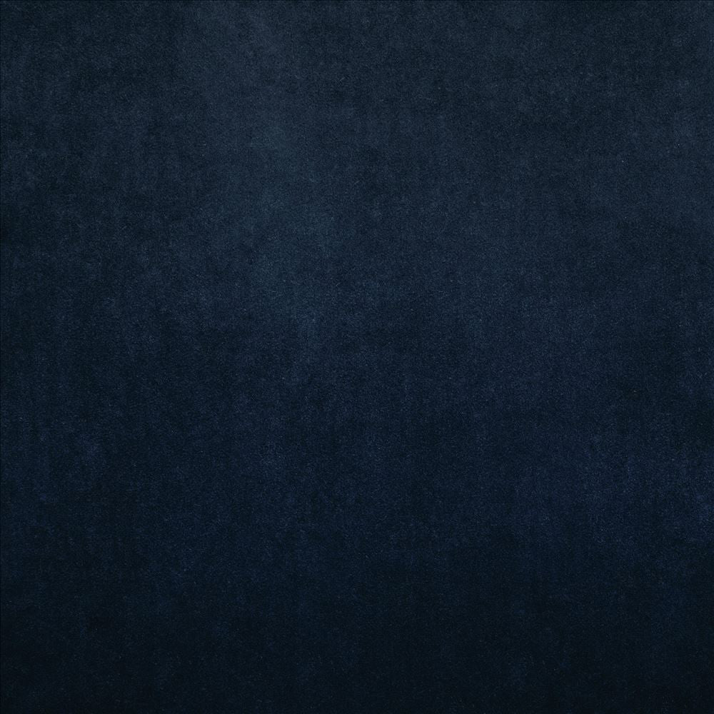 Nampara Indigo by Kasmir Designer Fabric 5167 100% Polyester
 CHINA 105,000 Wyzenbeek Double Rubs </p><p>Repeat: Horizontal: N/A and Vertical: N/A 58 - Swanky Fabrics -