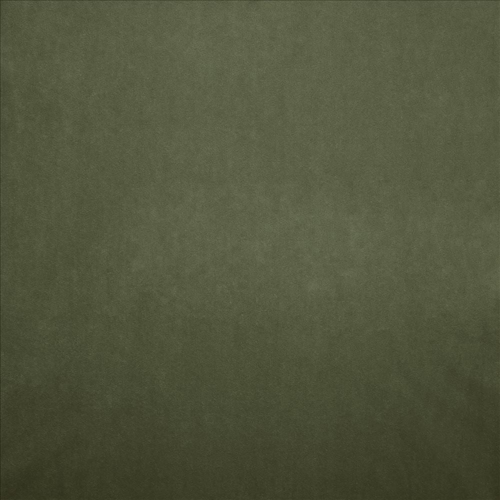 Nampara Kiwi by Kasmir Designer Fabric See sample 100% Polyester
 CHINA 105,000 Wyzenbeek Double Rubs </p><p>Repeat: Horizontal: N/A and Vertical: N/A 58 - Swanky Fabrics -