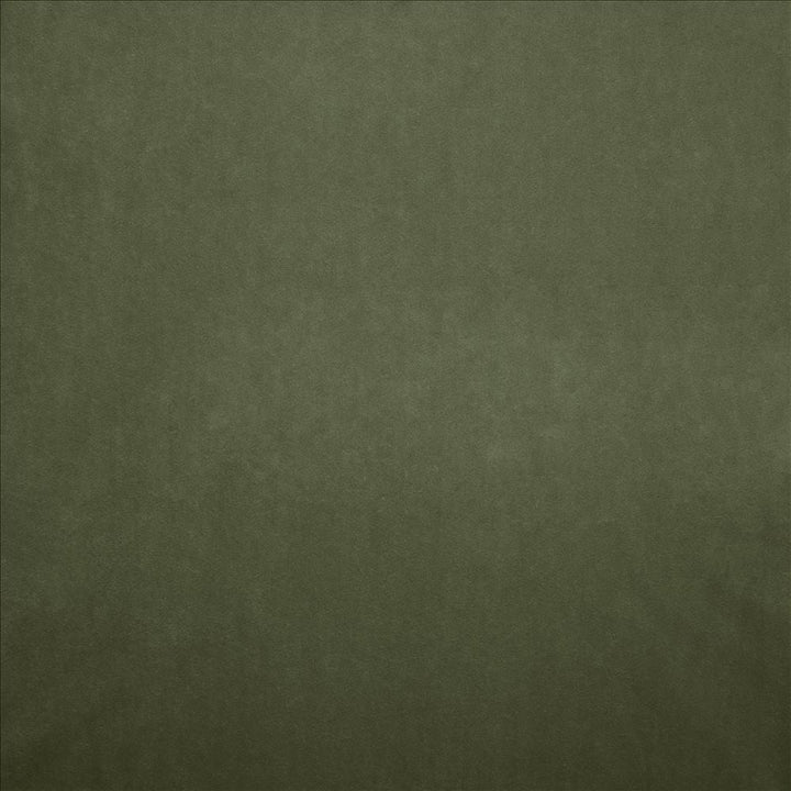 Nampara Kiwi by Kasmir Designer Fabric 5167 100% Polyester
 CHINA 105,000 Wyzenbeek Double Rubs </p><p>Repeat: Horizontal: N/A and Vertical: N/A 58 - Swanky Fabrics -