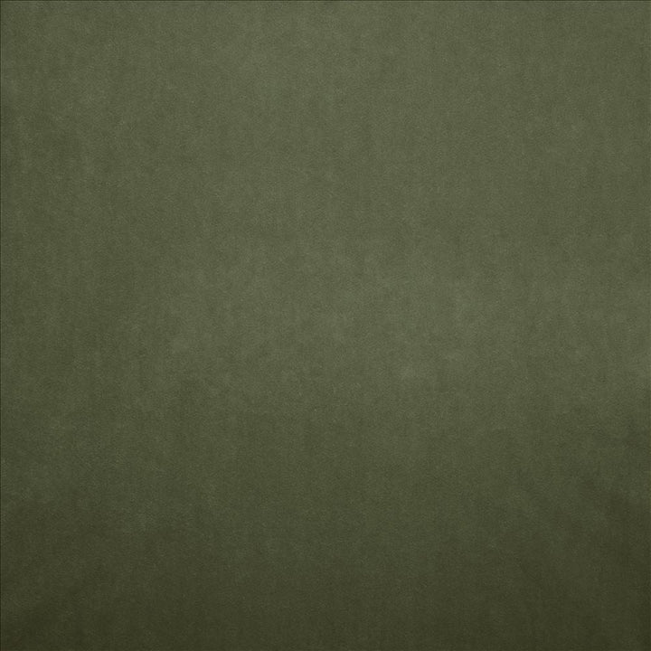 Nampara Kiwi by Kasmir Designer Fabric 5167 100% Polyester
 CHINA </p><p>Repeat: Horizontal: N/A and Vertical: N/A 58 - Swanky Fabrics -