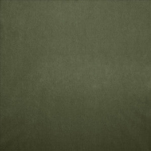 Kasmir Fabric Nampara Kiwi