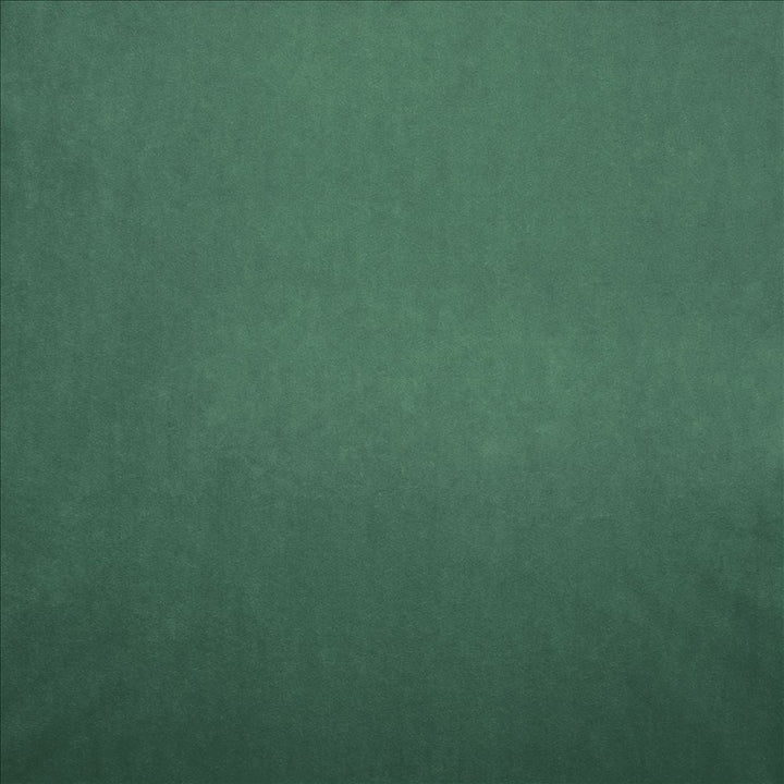 Nampara Leaf by Kasmir Designer Fabric 5167 100% Polyester
 CHINA </p><p>Repeat: Horizontal: N/A and Vertical: N/A 58 - Swanky Fabrics -