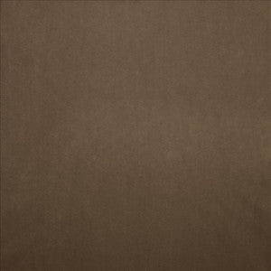 Kasmir Fabric Nampara Mocha