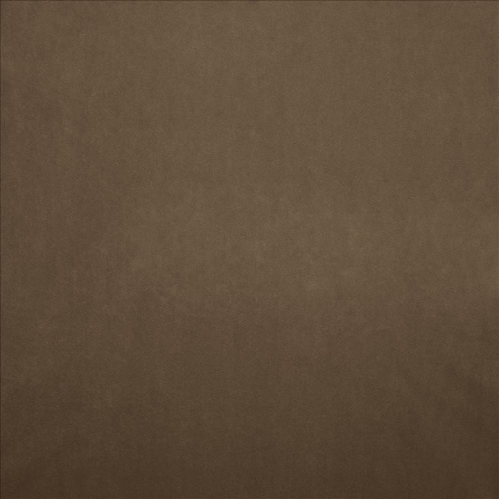 Nampara Mocha by Kasmir Designer Fabric 5167 100% Polyester
 CHINA </p><p>Repeat: Horizontal: N/A and Vertical: N/A 58 - Swanky Fabrics -