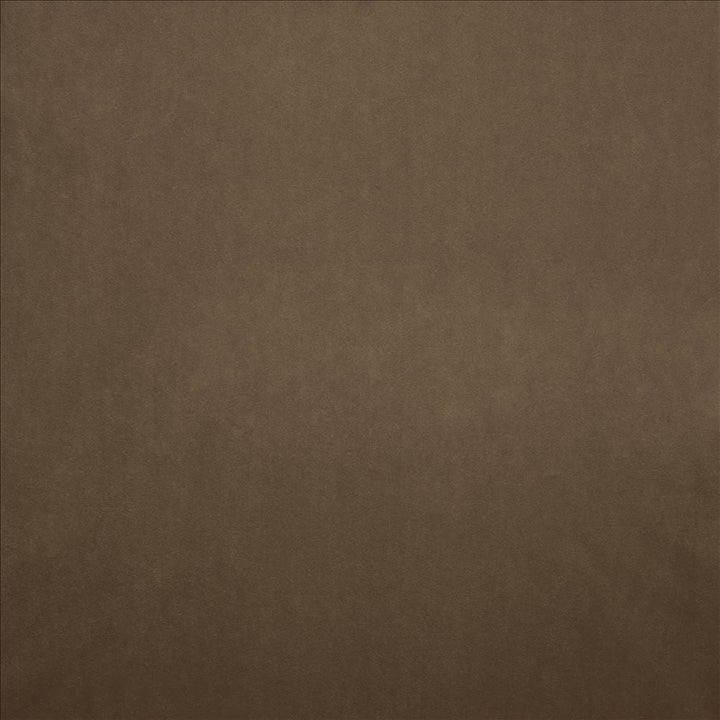 Nampara Mocha by Kasmir Designer Fabric 5167 100% Polyester
 CHINA 105,000 Wyzenbeek Double Rubs </p><p>Repeat: Horizontal: N/A and Vertical: N/A 58 - Swanky Fabrics -