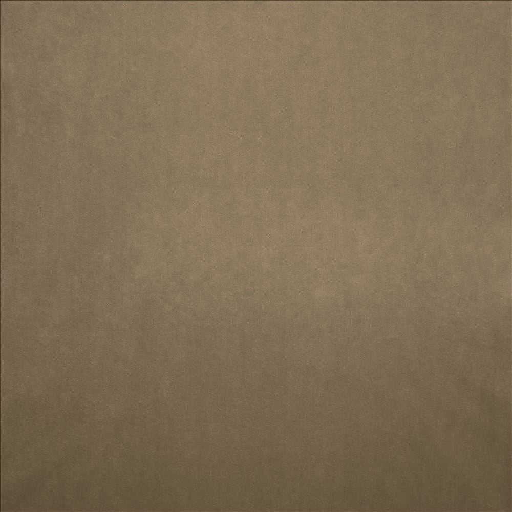 Nampara Natural by Kasmir Designer Fabric 5167 100% Polyester
 CHINA 105,000 Wyzenbeek Double Rubs </p><p>Repeat: Horizontal: N/A and Vertical: N/A 58 - Swanky Fabrics -
