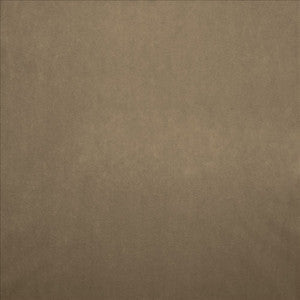 Kasmir Fabric Nampara Natural