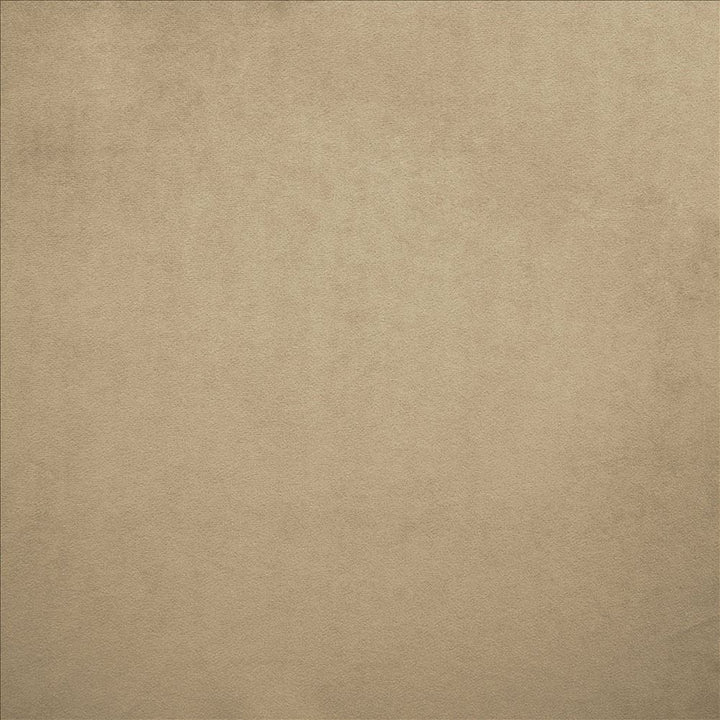 Nampara Nickel by Kasmir Designer Fabric 5167 100% Polyester
 CHINA 105,000 Wyzenbeek Double Rubs </p><p>Repeat: Horizontal: N/A and Vertical: N/A 58 - Swanky Fabrics -